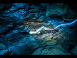 As Above So Below
