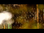 The Meadow 4