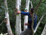 Bird Boxes by Miles Thorogood