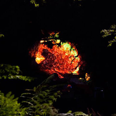 Queen Elizabeth Park