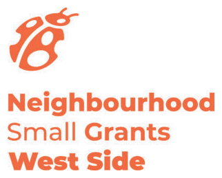NSG logo